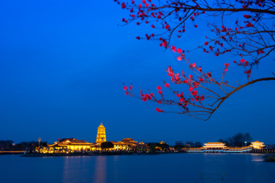 扬州高邮镇国寺夜景