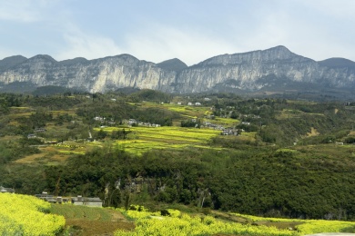 湖北恩施大峡谷景区油菜花