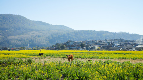 云南省腾冲市和顺古镇风景