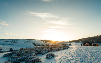 云南省丽江老君山格拉丹牧场风景