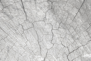 木纹底纹背景图片