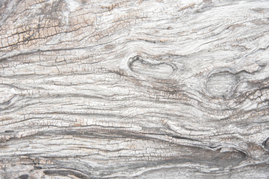 木纹底纹背景图片