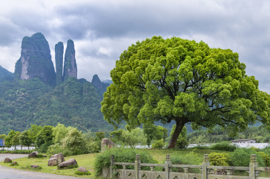 浙江省衢州江郎山