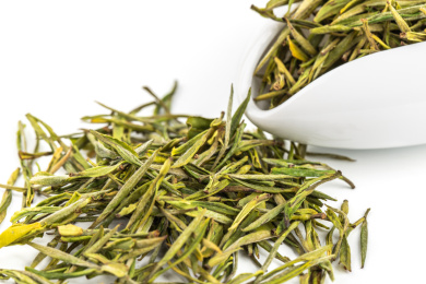 安吉白茶茶叶