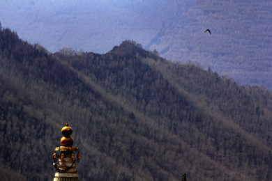 中国山西五台山建筑风光