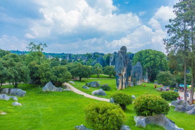 昆明石林景区的奇石