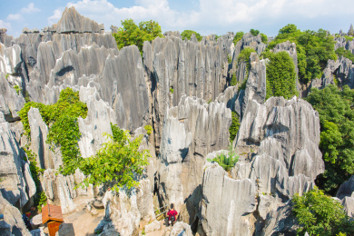 昆明石林景区的奇石