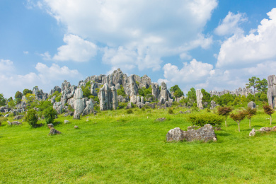 昆明石林景区的奇石