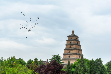 西安大雁塔建筑风光