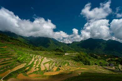 丽水市云和县云和梯田自然风光