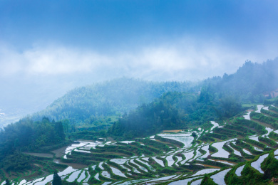 丽水市云和县云和梯田风景区自然景观