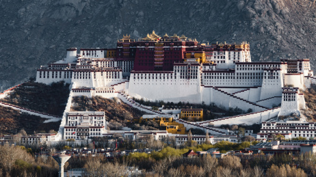中国西藏自治区拉萨市清晨的布达拉宫一景