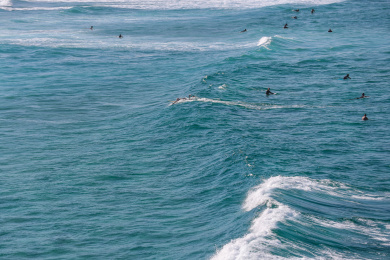 海平面冲浪的人群