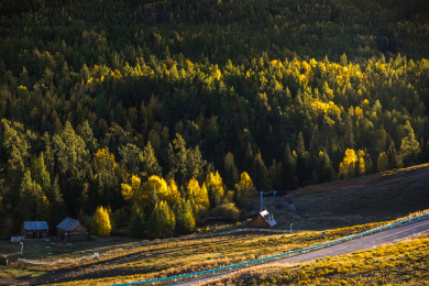 中国新疆喀纳斯原始森林的黄昏小木屋