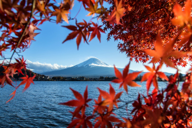 日本山梨县河口湖町富士山红叶