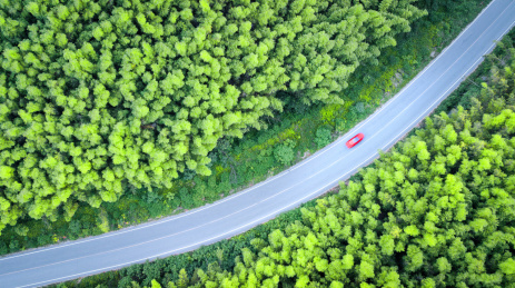 航拍俯视江苏省南京市江宁区谷里绿色竹林中弯曲的道路