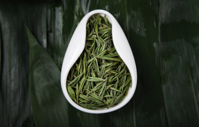 白色陶瓷茶荷安吉白茶绿色茶嫩叶芽干茶
