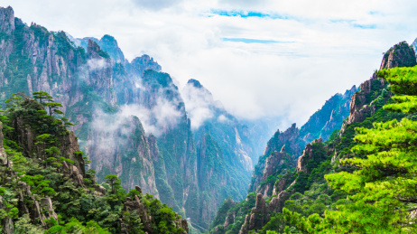 中国安徽黄山北海松林云海