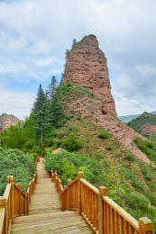 夏天青海省尖扎县坎布拉国家森林公园里的山体