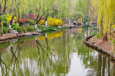 山东省济南市大明湖景区美丽风光