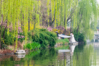 山东省济南市大明湖景区美丽风光