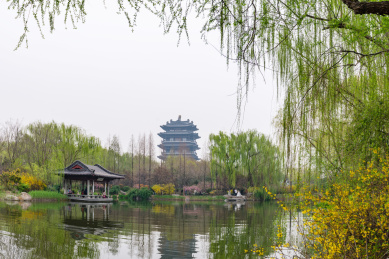 山东省济南市大明湖景区美丽风光