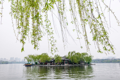 山东省济南市大明湖景区美丽风光