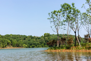中国四川省德阳市东湖山公园自然景色