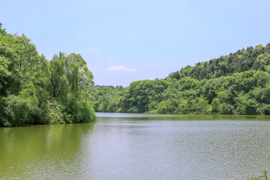 中国四川省德阳市东湖山公园自然景色
