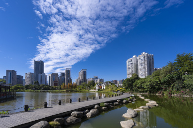 龙岩湿地公园木栈道周边景色，中国福建龙岩