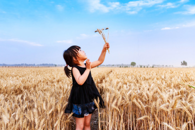 麦田里拿着麦穗开心玩耍的小女孩