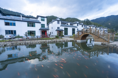 整洁的新村及屋前的池塘当中的红色锦鲤，中国福建龙岩万安竹贯村