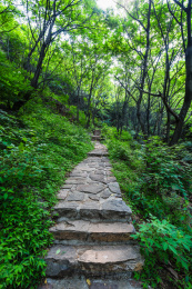 河北武安花溪谷景区山林