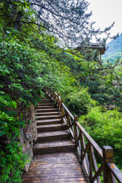 河北武安花溪谷景区山林