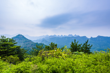 河北武安花溪谷景区山林