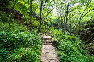 中国河北省武安花溪谷自然风光