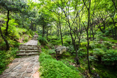 中国河北省武安花溪谷自然风光