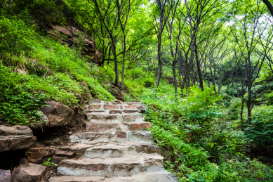 中国河北省武安花溪谷自然风光