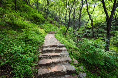 中国河北省武安花溪谷自然风光