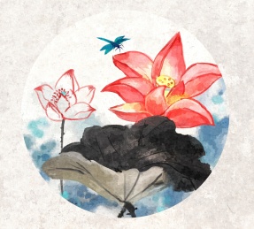 手绘立夏彩色中国风水墨荷花