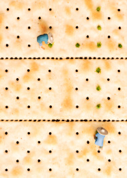 美食苏打饼干上农民插秧开垦