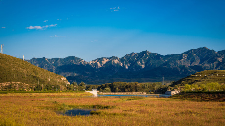 河北保定涞源县湿地公园湖面上的桥