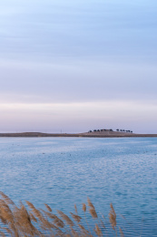 中国内蒙巴彦淖尔临河黄河湿地公园