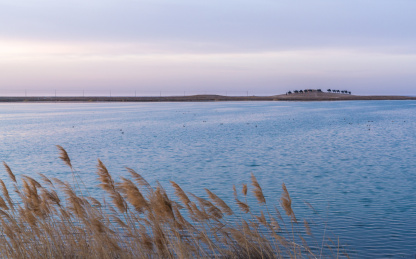 中国内蒙巴彦淖尔临河黄河湿地公园