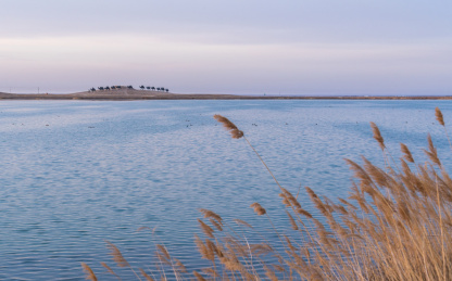 中国内蒙巴彦淖尔临河黄河湿地公园