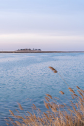 中国内蒙巴彦淖尔临河黄河湿地公园