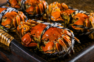 The yangcheng lake crabs