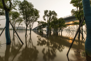 日落下的洪水淹没了桥墩和河岸边的树