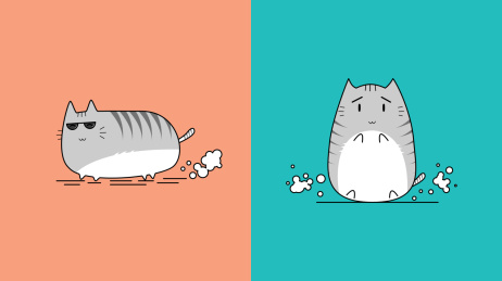 野生可爱萌猫生活剪影二份