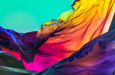 彩色灯光照射曲线柔美的海带